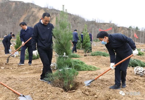 春风又绿子午岭 宁县机关干部植树造林掀热潮