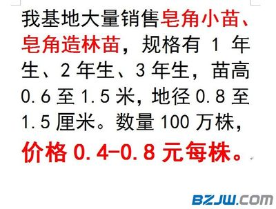 皂角小苗与皂角造林苗 生态与经济双赢的种植选择